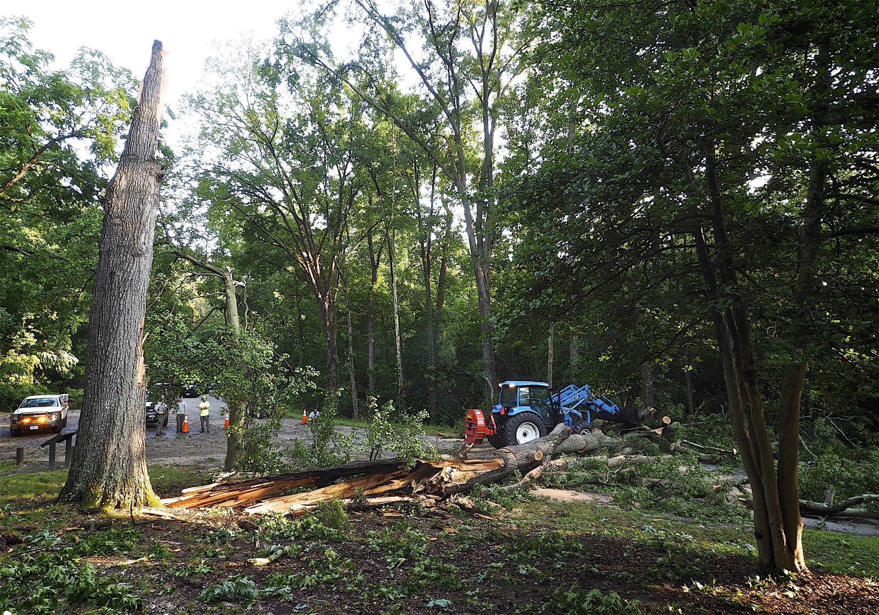 Lafayette Storm Damage